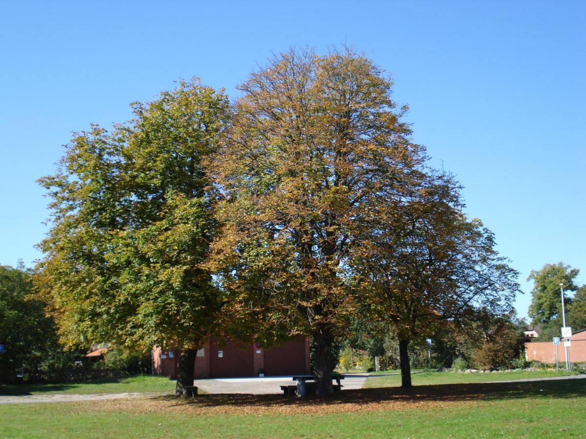 De Luet Ferienhof Jameln Zewnętrze zdjęcie