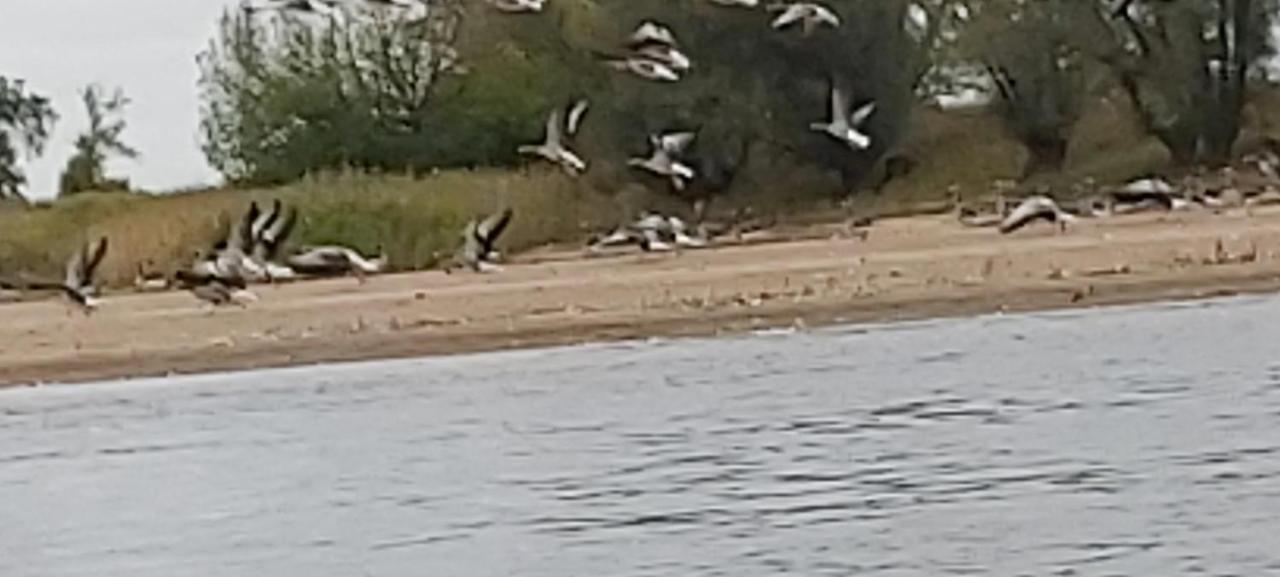 De Luet Ferienhof Jameln Zewnętrze zdjęcie
